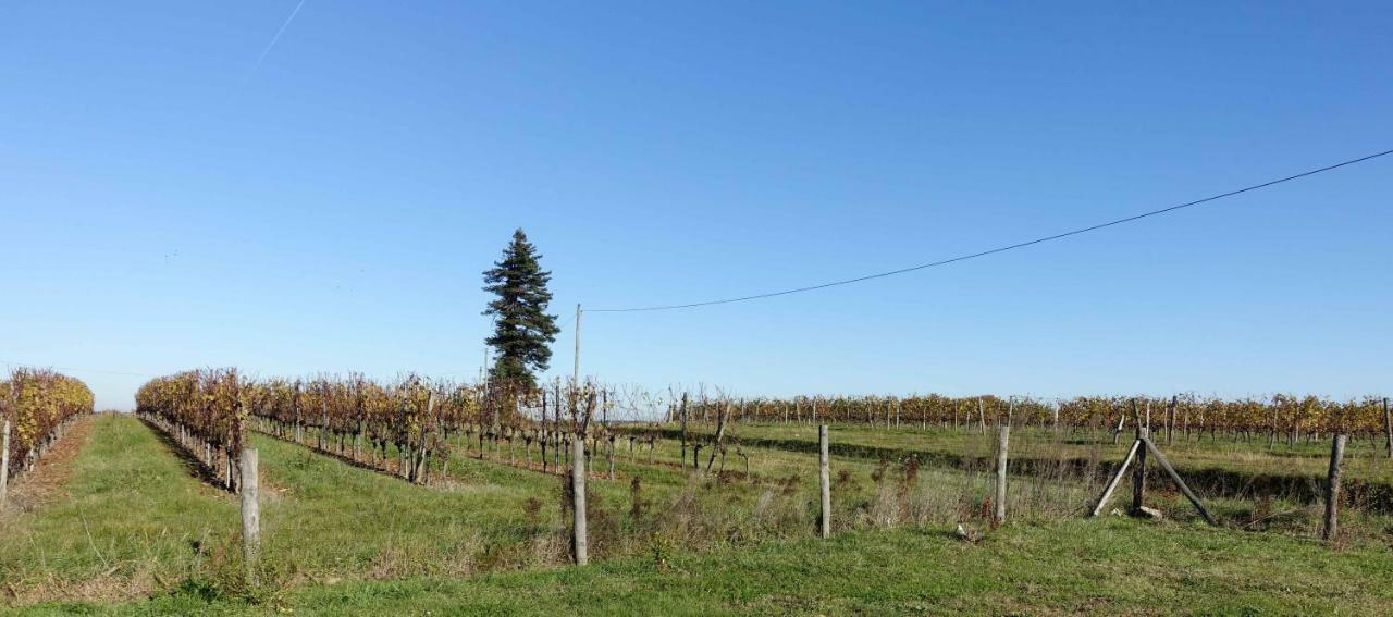 Вілла Le Clos De La Chataignere Verac Екстер'єр фото